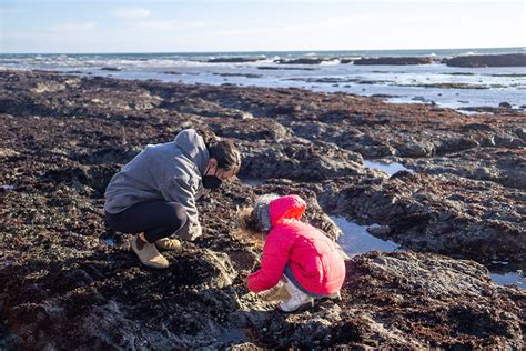 Tide Pooling