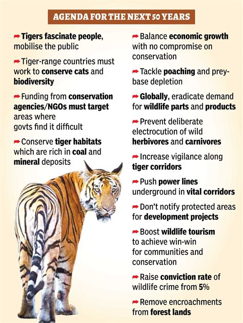 Tiger conservation and education