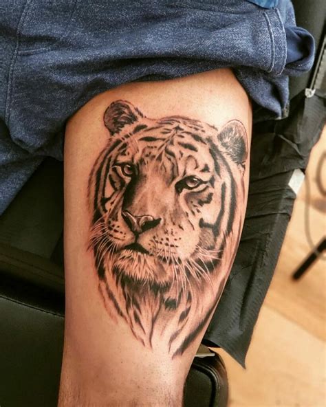 Tiger tattoos