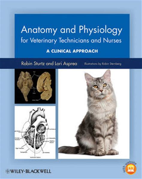 Tom cat physiology and health