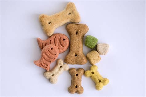 Top 5 Organic Dog Treats