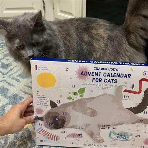 Trader Joe's cat calendar animal shelters