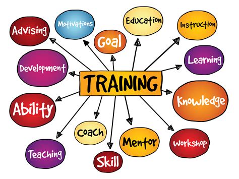 Strategies for Training and Development