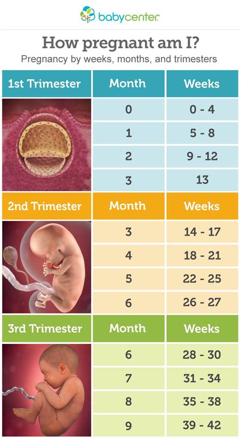 Trimester-Based Calendar