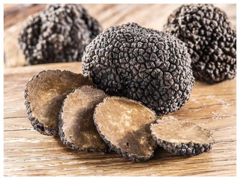 Description of Truffle Mushroom