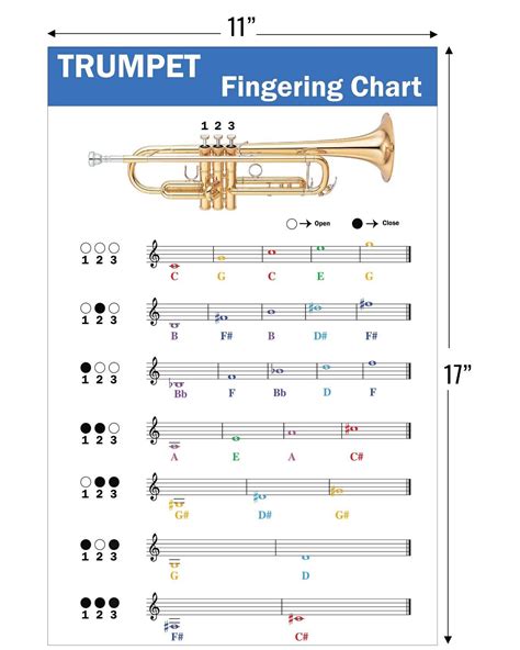 Trumpet technique