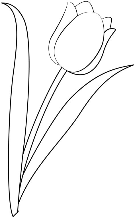 Description of Tulip Printable