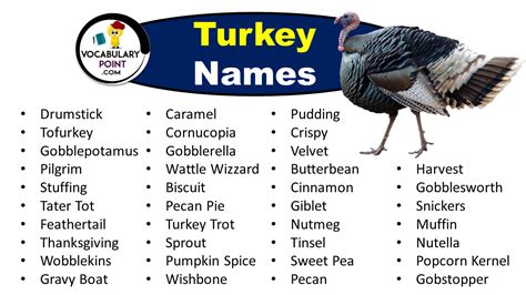 A picture of a turkey to represent the article about the origin of its name