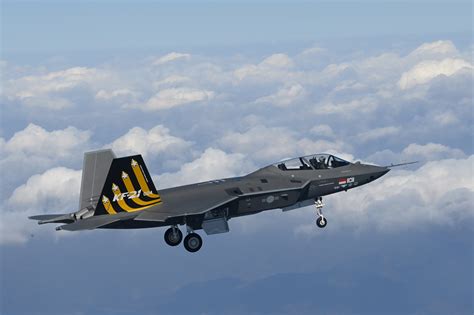 Two-seater fighter jets in flight