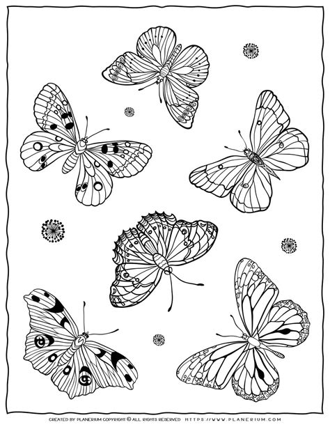 Different types of butterfly coloring pages