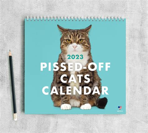 Types of Funny Calendars Image