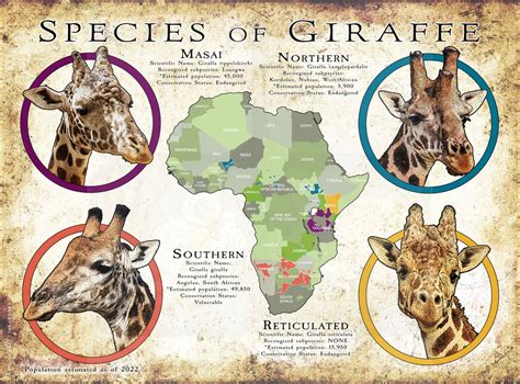 Different types of giraffe printables