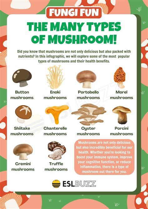 Types of mushroom events