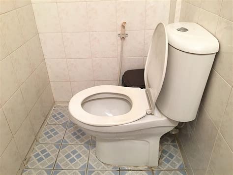 Types of toilet seats