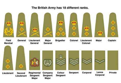 UK Army Rank Structure