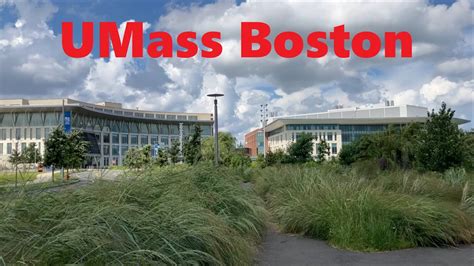 UMass Boston University Experience