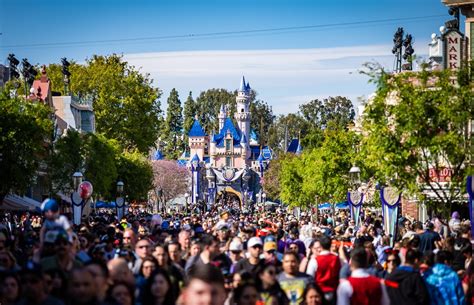 Understanding Disneyland Crowds