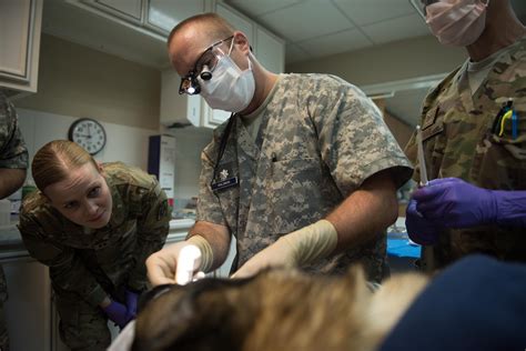 US Air Force Dentist with Colleagues