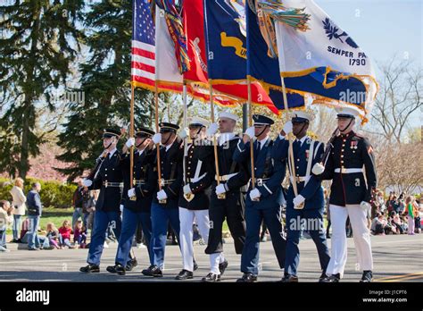 US Armed Forces Colors Gallery 7