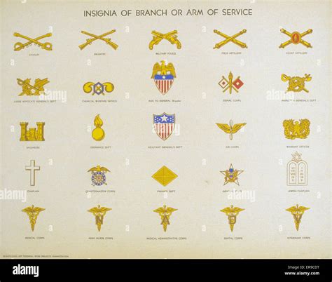 US Army Branch Insignia Identification