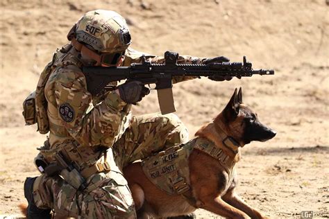 US Army Canine Units