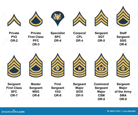 US Army Enlisted Rank Structure