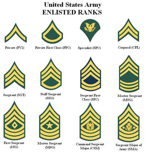 US Army Rank Structure