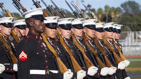 US Marine Corps Section Eight Gallery