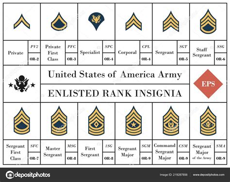 US Military Enlisted Ranks