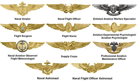 US Navy Pilots Awards