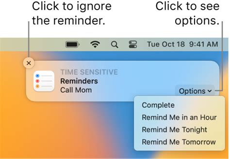 Using Reminders and Notifications