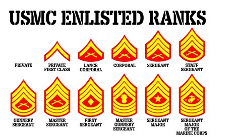 USMC Enlisted Rank Insignia