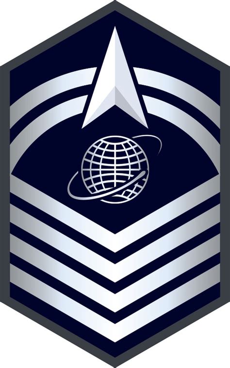 US Space Force Enlisted Insignia