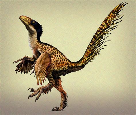 Utahraptor Image