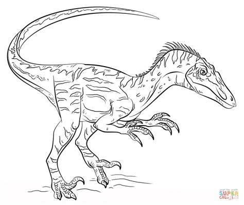 Velociraptor coloring page