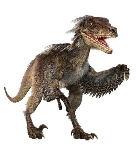 Velociraptor Image