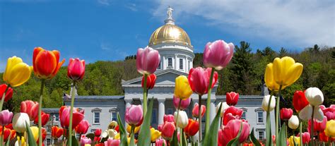 Vermont Spring