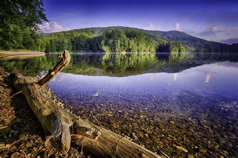 Vermont Summer