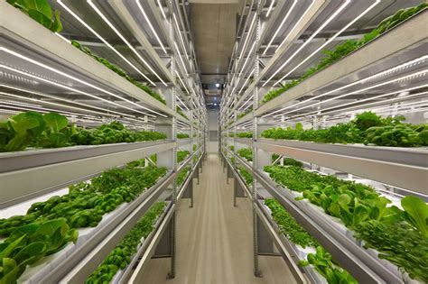 Vertical farming methods