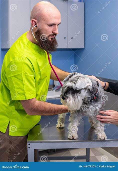 Veterinarian inspecting food