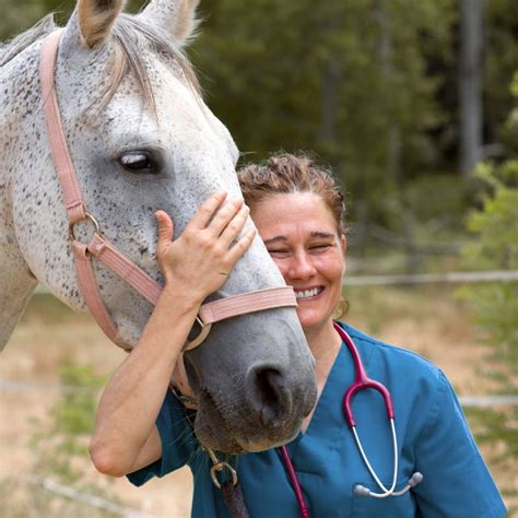 Veterinarian Large Animal Care