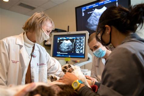 Veterinarian Research Facility