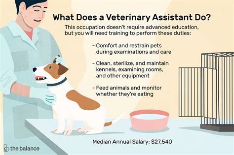 Veterinarian Responsibilities and Duties