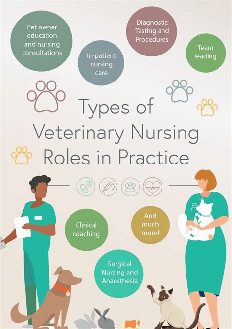 Veterinarian Roles and Responsibilities