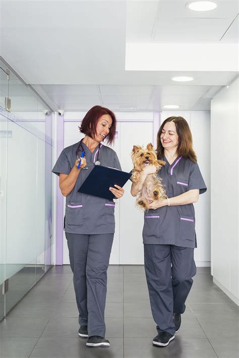 Veterinarian wearing specialized gear