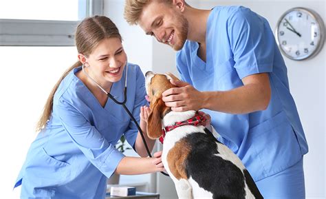 Veterinarian Staff