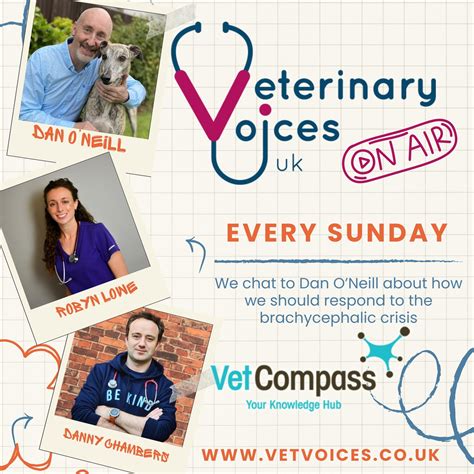 Veterinarians and emotional toll