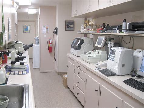 Veterinarians in lab