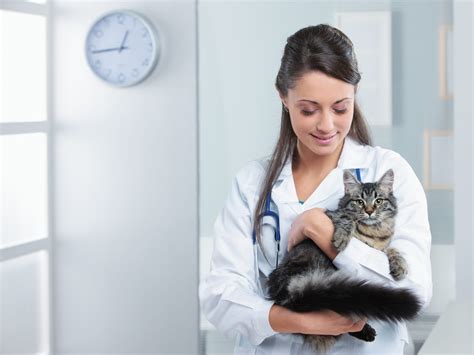 Veterinarians in industry and consulting