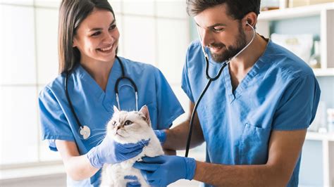 Veterinarians in public health